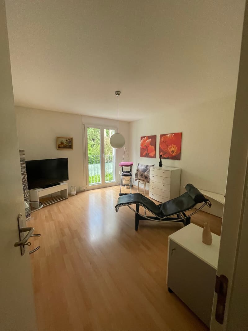 Reihen-Einfamilienhaus inkl. Autounterstand (8)