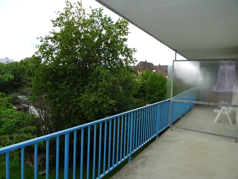 3-Zimmerwohnung im ruhigen Elsässli-Quartier (4)