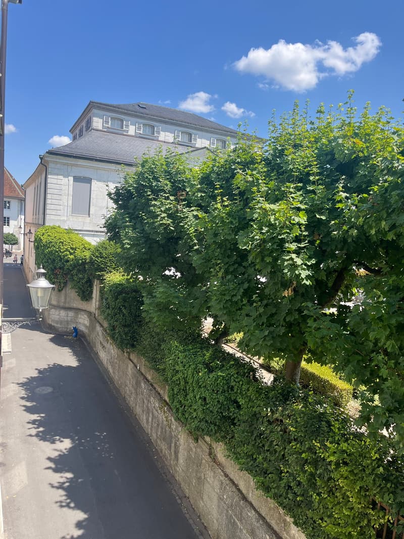Altstadt Solothurn - grosszügiges Studio (8)