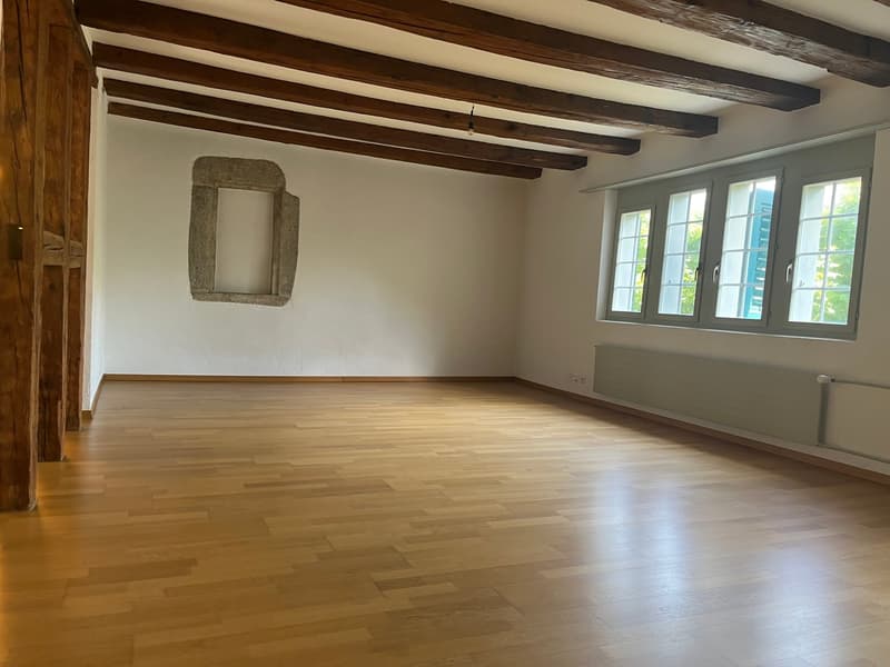 Altstadt Solothurn - grosszügiges Studio (1)