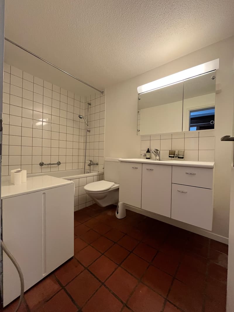Altstadt Solothurn - grosszügiges Studio (7)