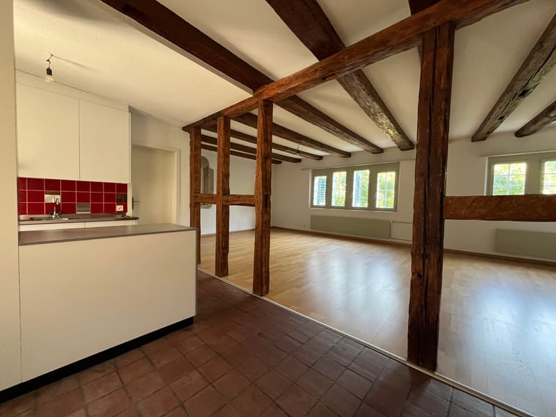 Altstadt Solothurn - grosszügiges Studio (3)