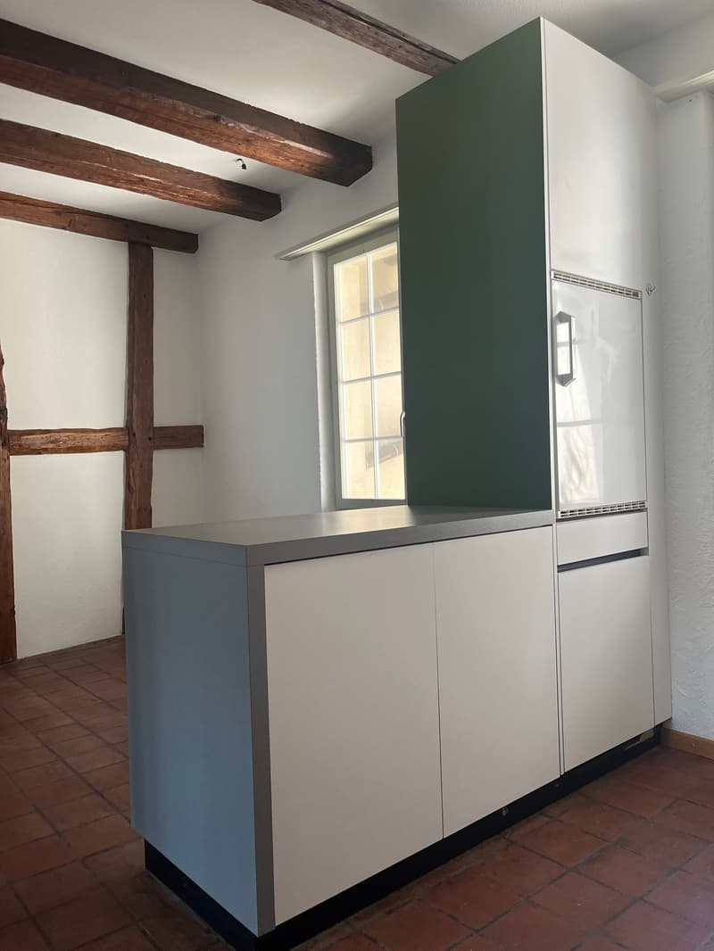 Altstadt Solothurn - grosszügiges Studio (6)