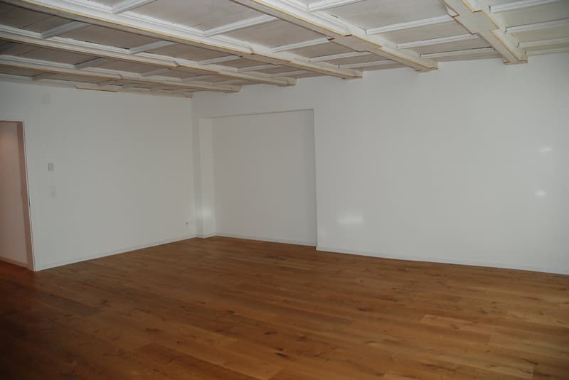 Sanierte 2 1/2-Zimmer Wohnung mitten in der Altstadt (3)