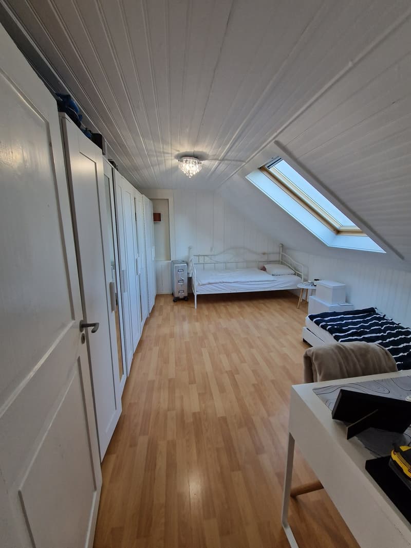 Gemütliche 3 1/2 Zimmerwohnung über 2 Etagen - ideal für Singles oder Paare (11)