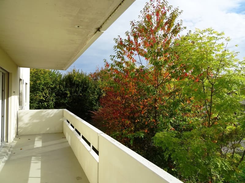 Gemütliche und helle 3 1/2-Zimmerwohnung im Hochparterre mit grossem Eckbalkon (2)