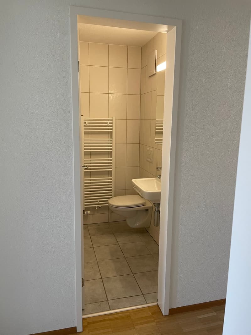 Sanierte 4.5-Zimmerwohnung in Bahnhofsnähe von Herzogenbuchsee (6)