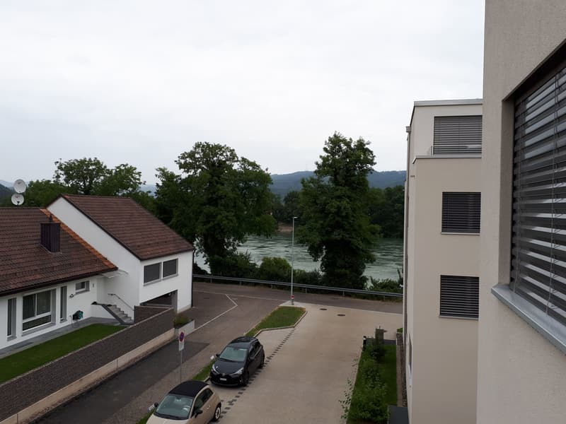 20190711_145005.jpg