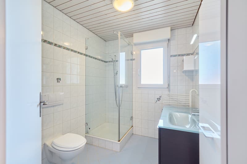 VILLA MIT GARTEN UND RAUM FÜR INDIVIDUALITÄT (8)