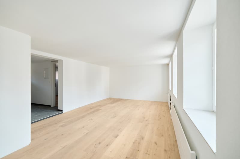 HELLE UND ZEITGEMÄSSE 2.5-ZIMMER-ERDGESCHOSSWOHNUNG (4)