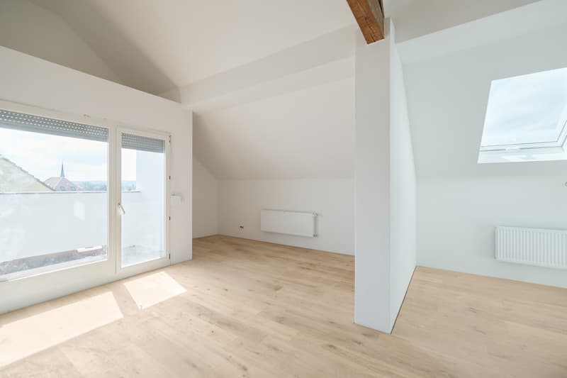 HELLE UND ZEITGEMÄSSE 2.5-ZIMMER-DACHWOHNUNG (5)