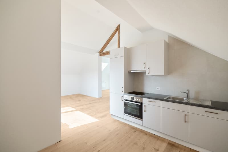 HELLE UND ZEITGEMÄSSE 2.5-ZIMMER-DACHWOHNUNG (2)