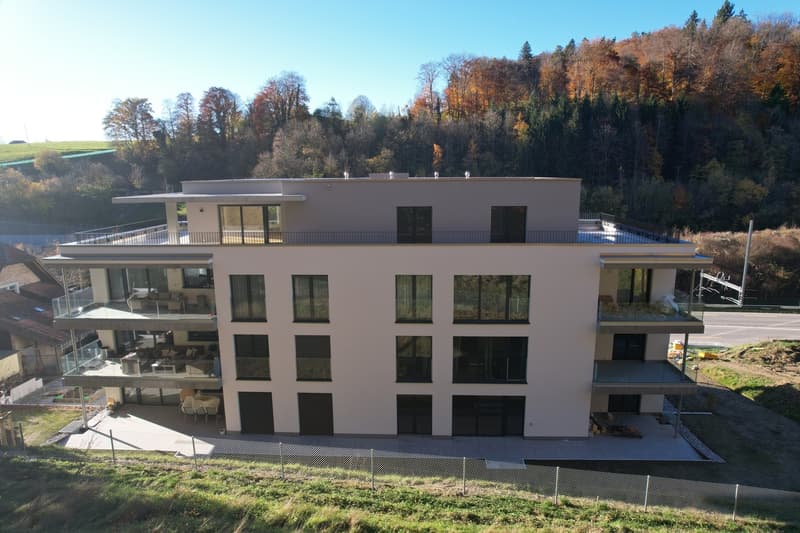 EXKLUSIVE ATTIKAWOHNUNG IN THÖRISHAUS (12)