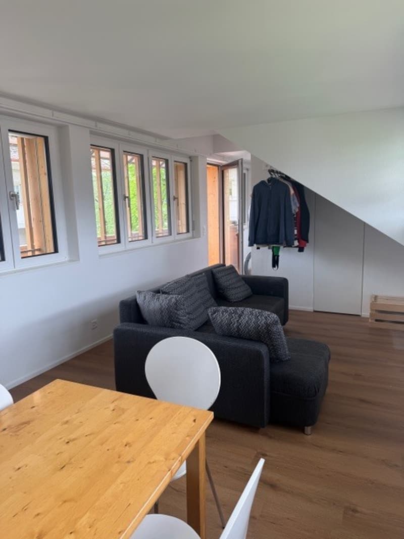 CHARMANTE DACHWOHNUNG IM HISTORISCHEN HOF DES SCHLÖSSLI RUBIGEN (2)
