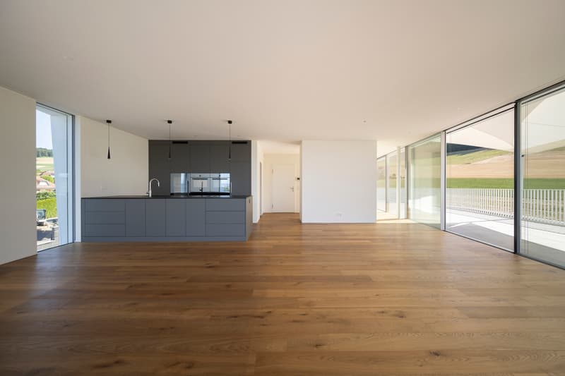 EDLE ATTIKA MIT EINMALIGER AUSSICHT UND DESIGN (4)