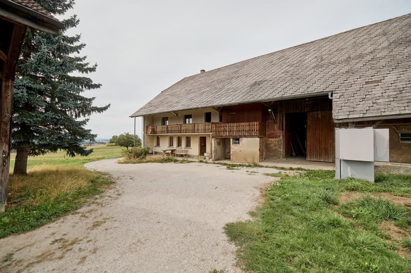 NATURNAHES WOHNERLEBNIS MIT WEITLÄUFIGEM PANORAMA (10)