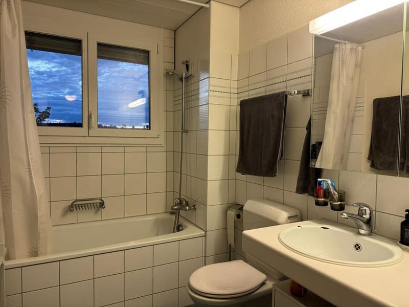 3.5-ZIMMERWOHNUNG MIT GALERIE IN RUBIGEN (10)
