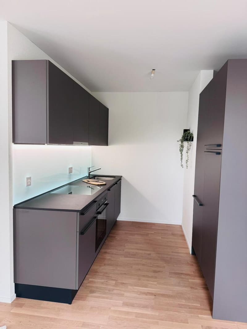 NEUBAUPROJEKT BLYSS - CHARMANTE MÖBLIERTE 2.5-ZIMMERWOHNUNG (2)
