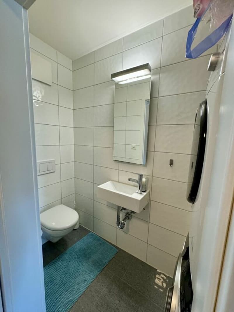 4.5 Zi-Wohnung mit Balkon und Wintergarten (12)