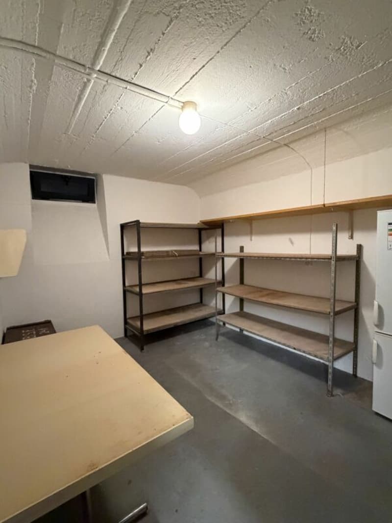 Renoviertes 6-Zimmer-Stadthaus mit schönem Garten (26)