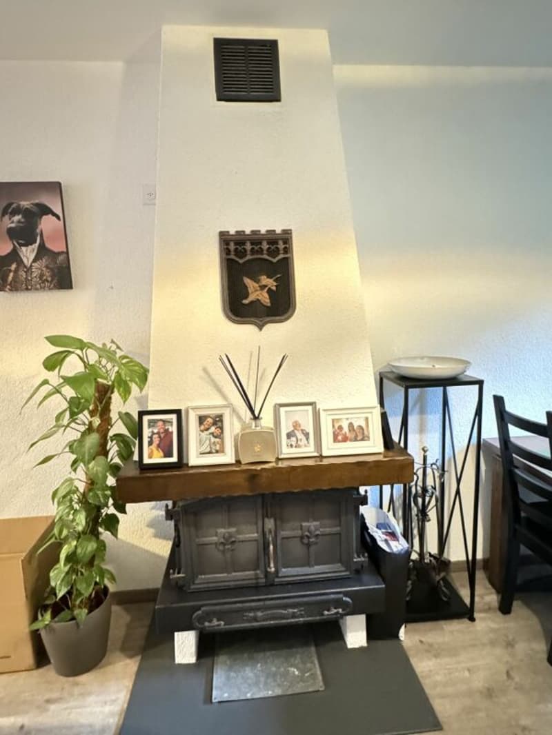 Renoviertes 6-Zimmer-Stadthaus mit schönem Garten (14)