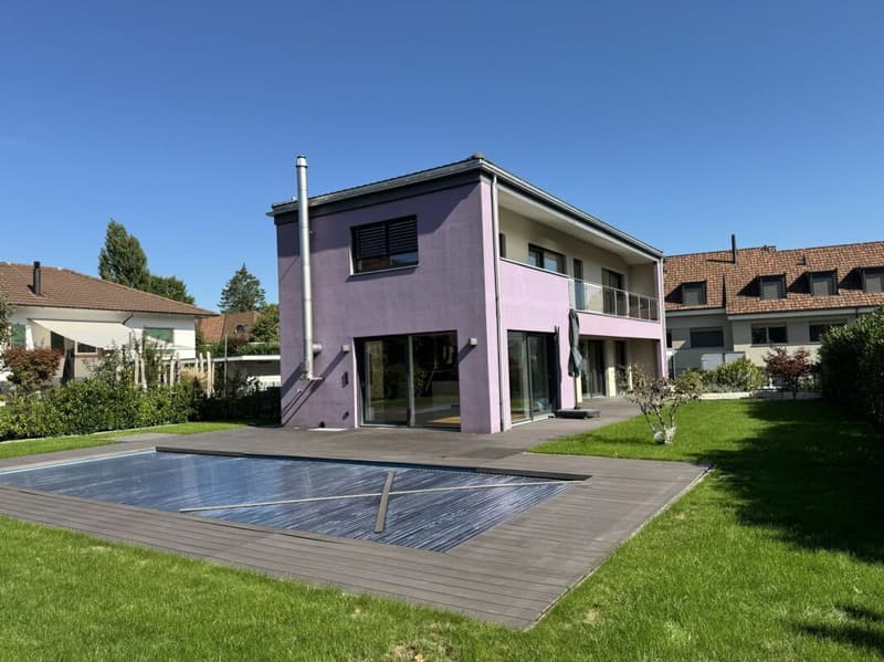 Dream house with pool and surrounding area (3)