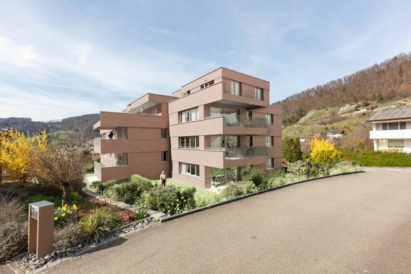 Neubau 4.5-Attika Wohnung mit Panoramablick (6)