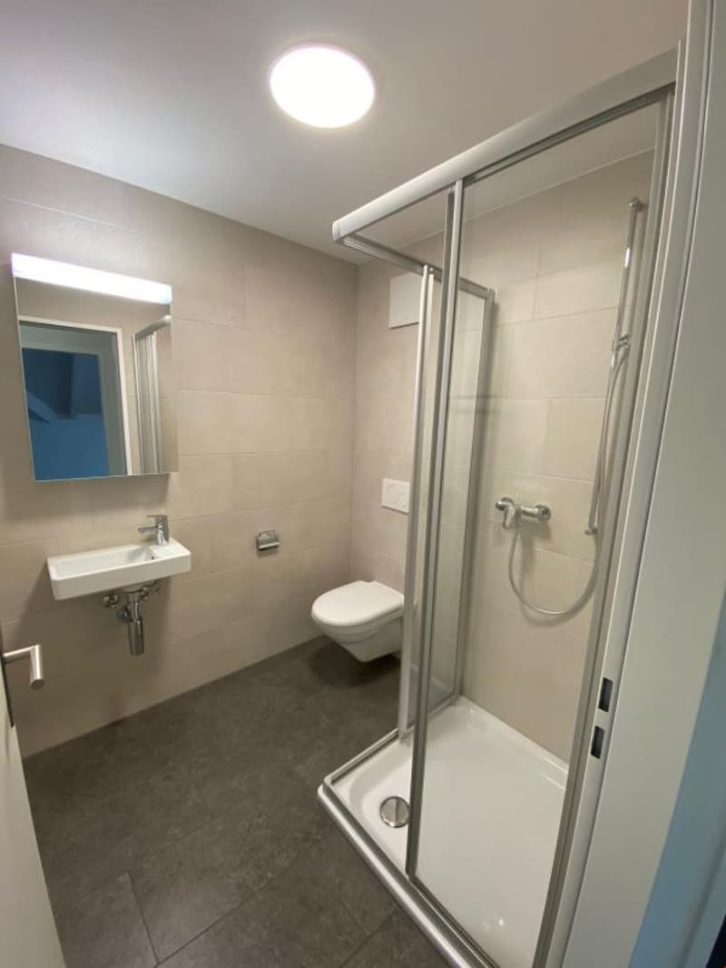 Moderne 4.5 Zi-Maisonette-Dachwohnung mit grossem Balkon (8)