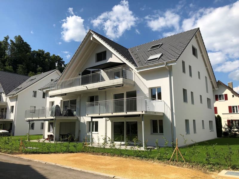 Moderne 4.5 Zi-Maisonette-Dachwohnung mit grossem Balkon (1)