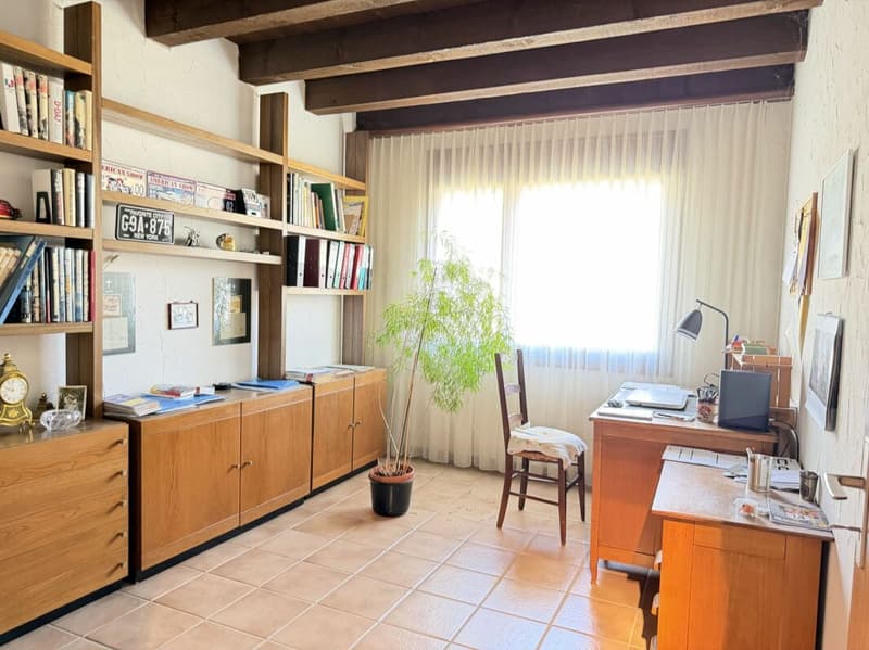 5.5-Zimmer-Doppeleinfamilienhaus mit Umschwung (20)