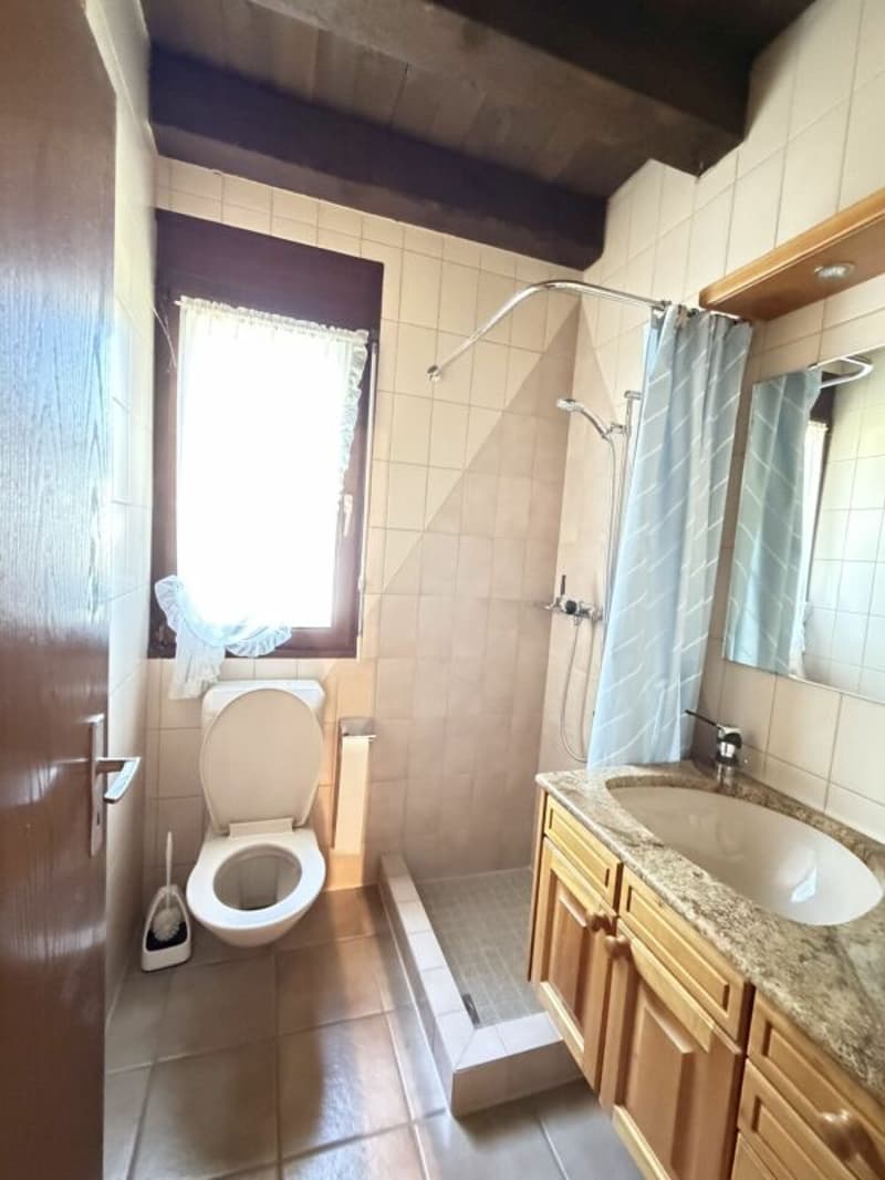 5.5-Zimmer-Doppeleinfamilienhaus mit Umschwung (19)