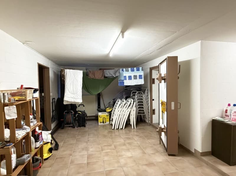 5.5-Zimmer-Doppeleinfamilienhaus mit Umschwung (26)