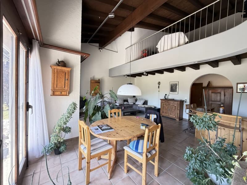 5.5-Zimmer-Doppeleinfamilienhaus mit Umschwung (13)