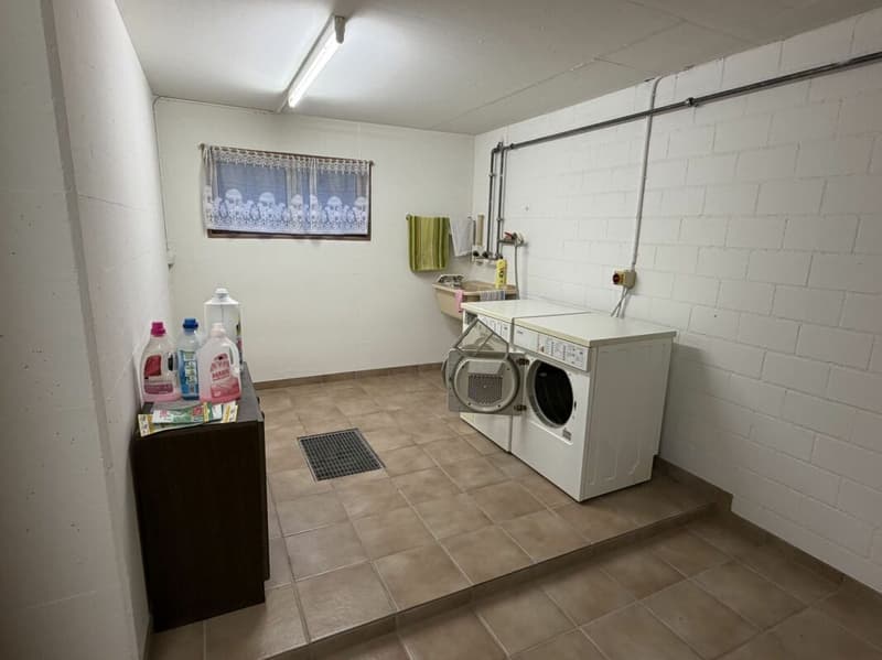 5.5-Zimmer-Doppeleinfamilienhaus mit Umschwung (27)