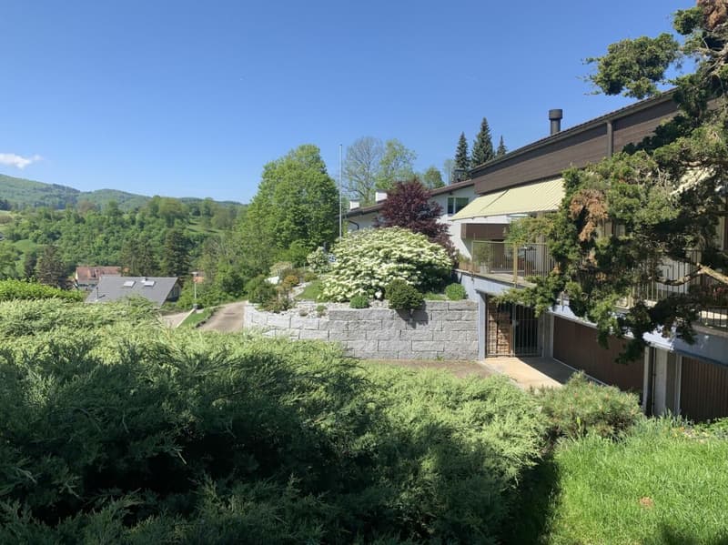 5.5-Zimmer-Doppeleinfamilienhaus mit Umschwung (5)