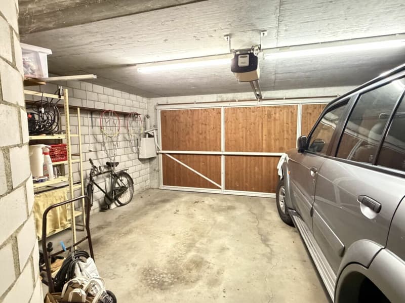 5.5-Zimmer-Doppeleinfamilienhaus mit Umschwung (29)