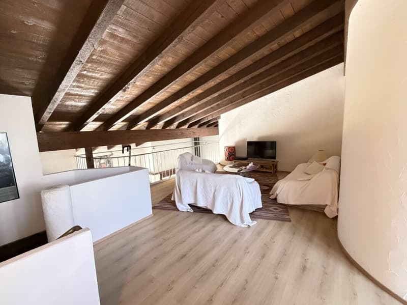 5.5-Zimmer-Doppeleinfamilienhaus mit Umschwung (23)
