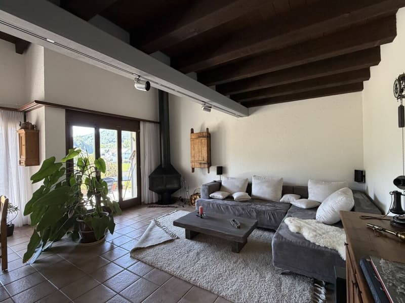 5.5-Zimmer-Doppeleinfamilienhaus mit Umschwung (17)