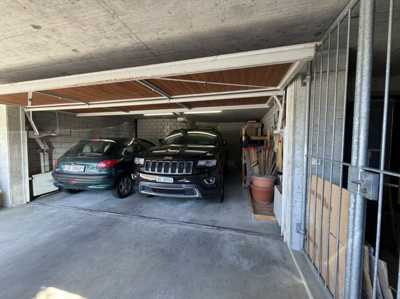 5.5-Zimmer-Doppeleinfamilienhaus mit Umschwung (28)