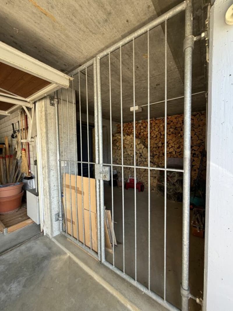 5.5-Zimmer-Doppeleinfamilienhaus mit Umschwung (27)