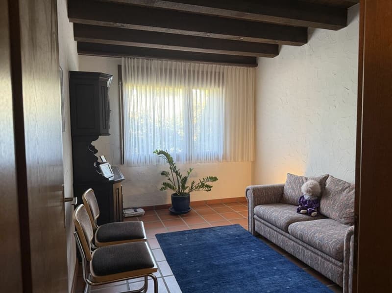 5.5-Zimmer-Doppeleinfamilienhaus mit Umschwung (17)