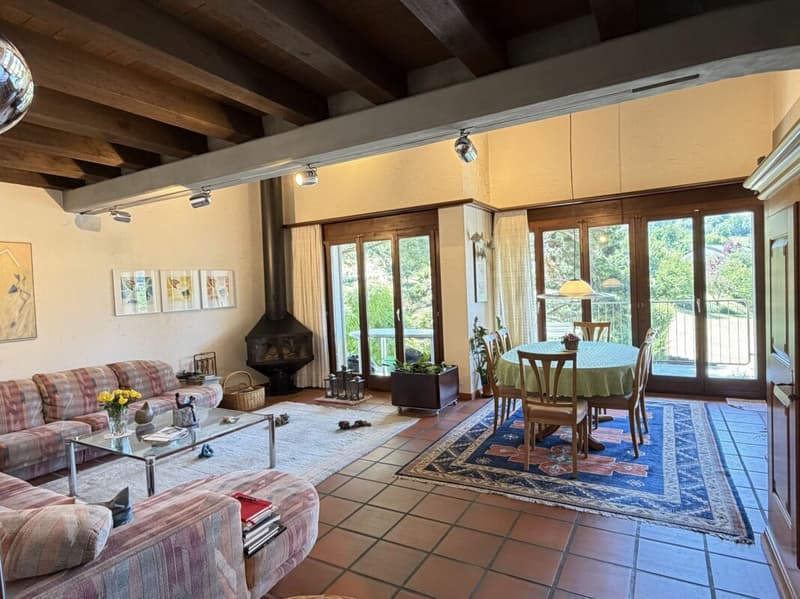 5.5-Zimmer-Doppeleinfamilienhaus mit Umschwung (12)