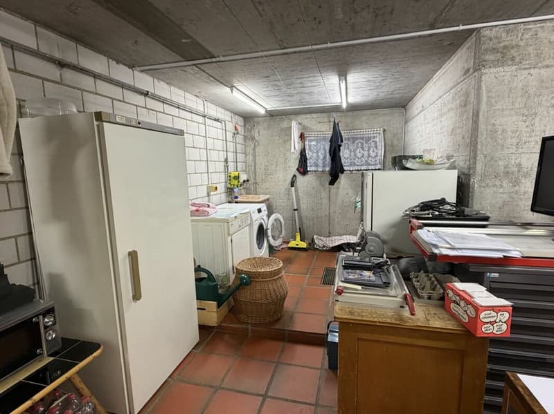 5.5-Zimmer-Doppeleinfamilienhaus mit Umschwung (26)
