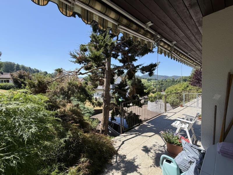 5.5-Zimmer-Doppeleinfamilienhaus mit Umschwung (6)