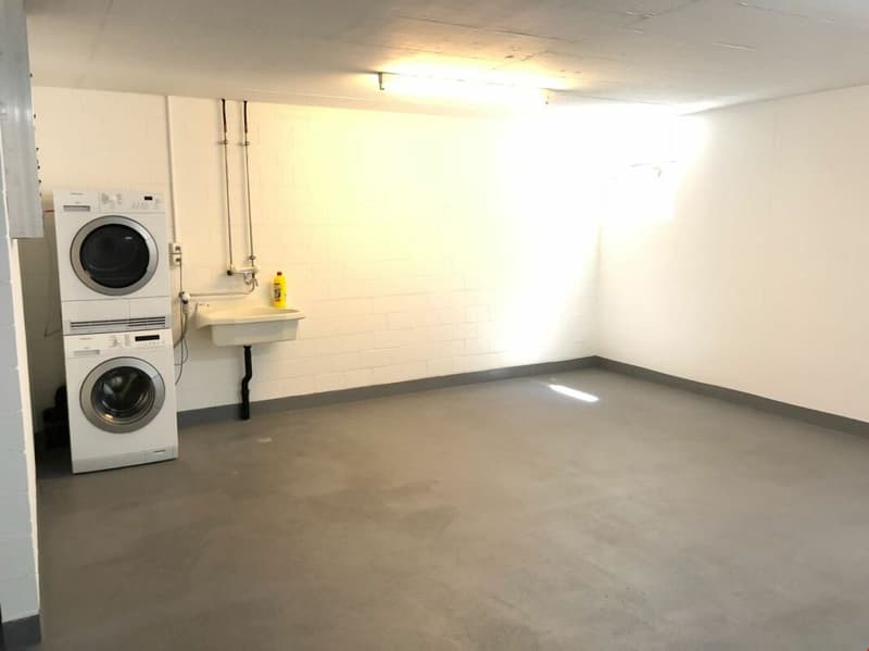 6.5 Zi-REFH mit Tiefgarage (11)