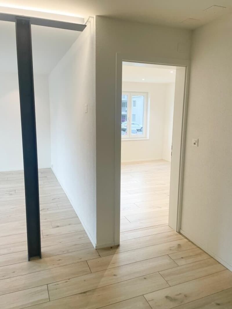 Renovierte 3.5 Zimmer-Gartenwohnung inkl. PP (12)