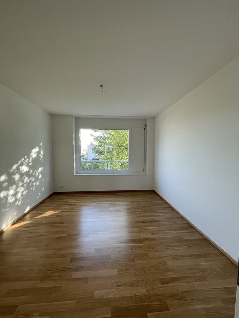 Zimmer 3