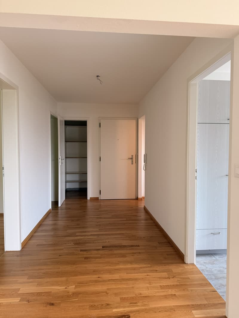 Entree_mit_Reduit.jpg