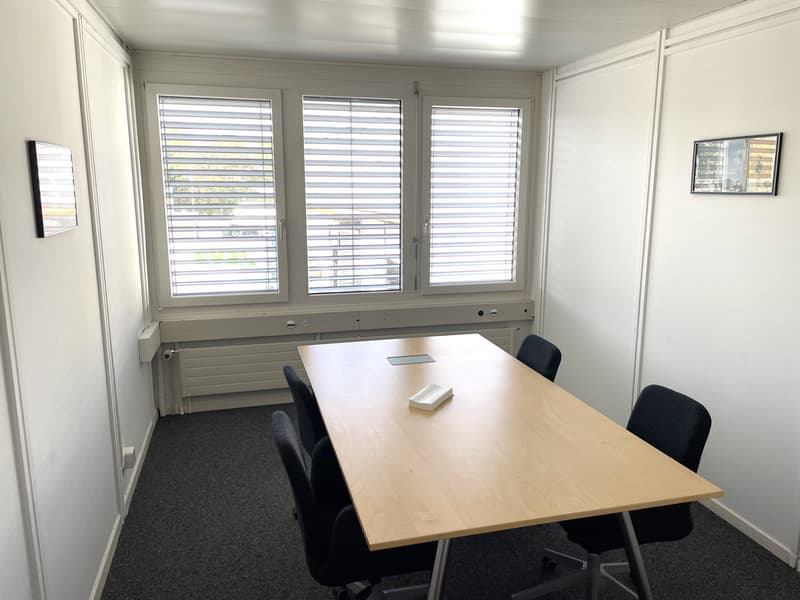 Staufrei zum Büro - vor den Toren von Basel (5)
