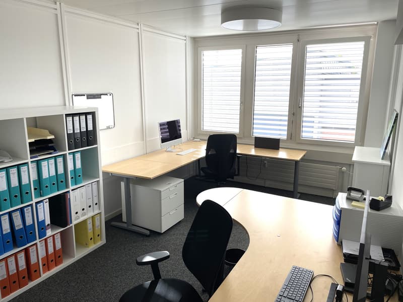 Staufrei zum Büro - vor den Toren von Basel (3)